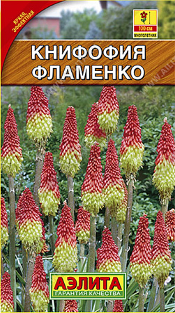 Семена книфофии ягодная Фламенко