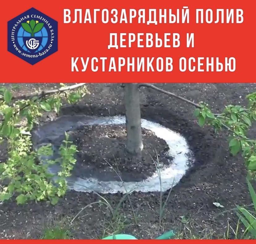 Влагозарядный полив