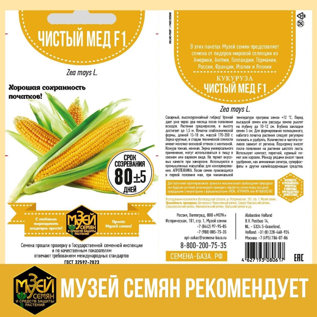 После майских праздников - самое время посадить кукурузу.