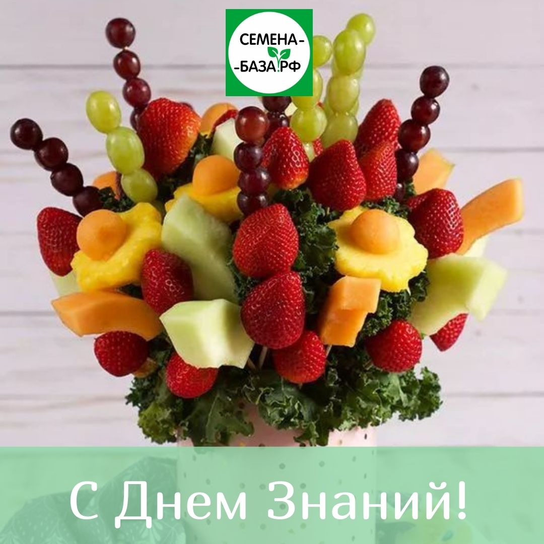 С днем Знаний и началом учебного года поздравляем Вас!