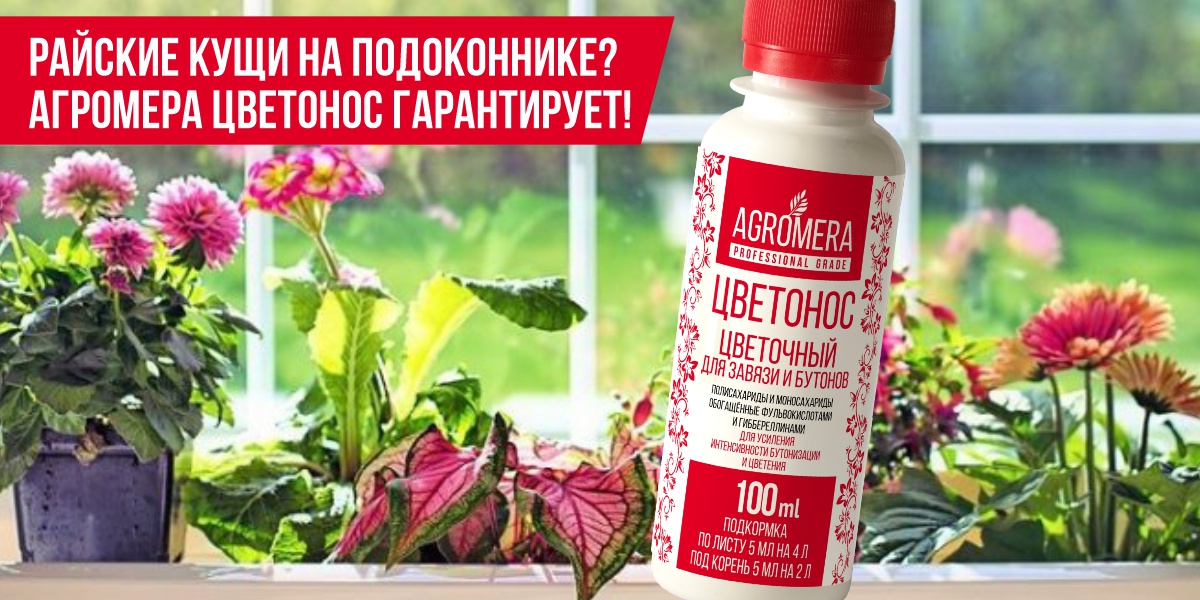 Райские кущи на подоконнике? АГРОМЕРА ЦВЕТОНОС гарантирует!