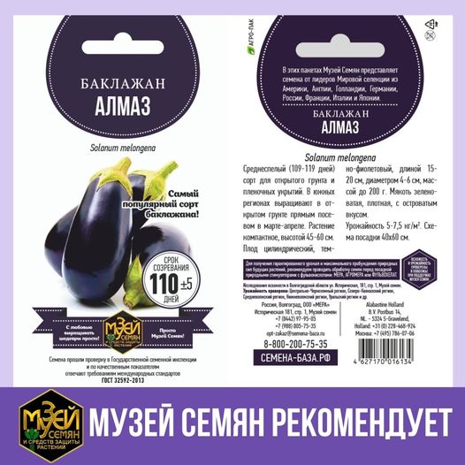 Самый неприхотливый сортовой баклажан.