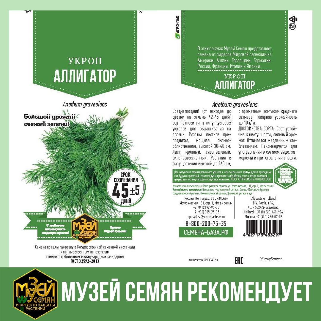 Как вырастить хороший урожай укропа?