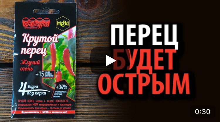 У кого перчики на подоконнике?