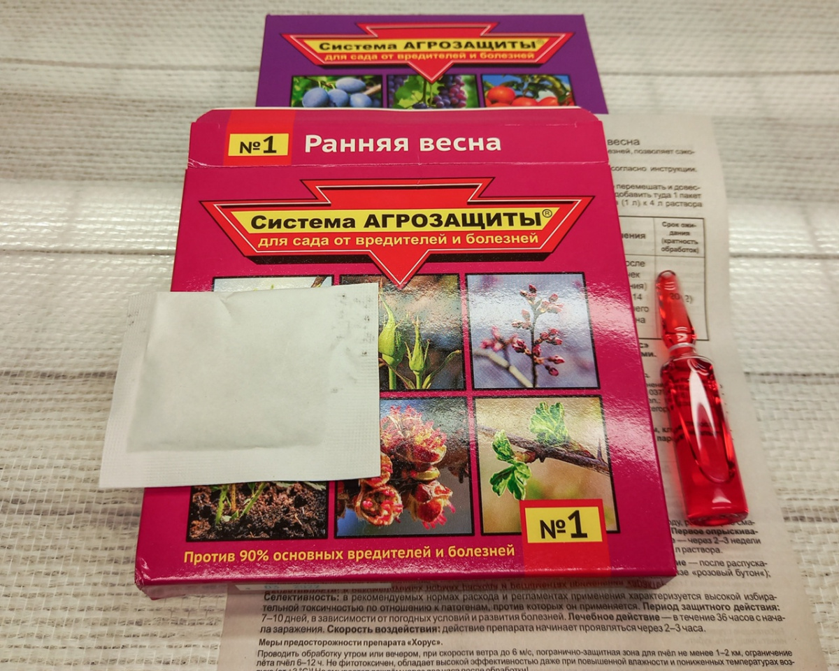 Обработка сада ранней весной.