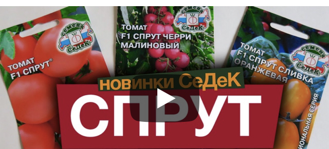 Новинки компании СеДеК