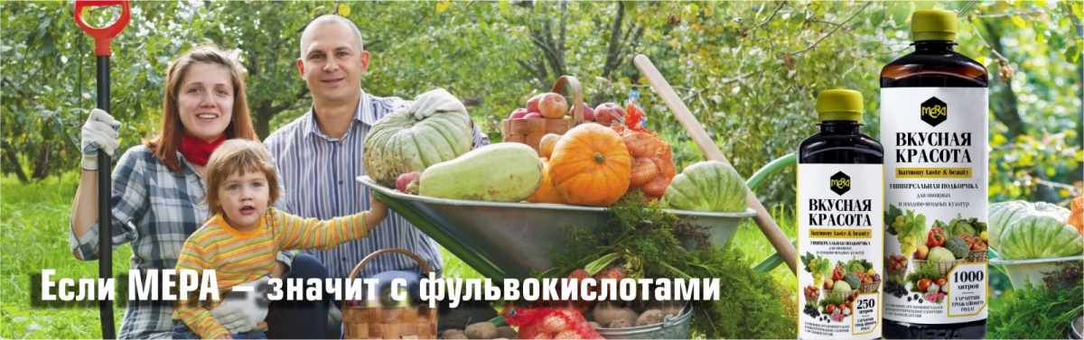 Мера N° 1: чудо-удобрение с фульвокислотами, которое изменило жизнь волгоградцев