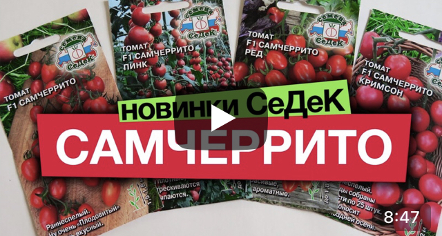 Новинки томатов черри от СеДеК