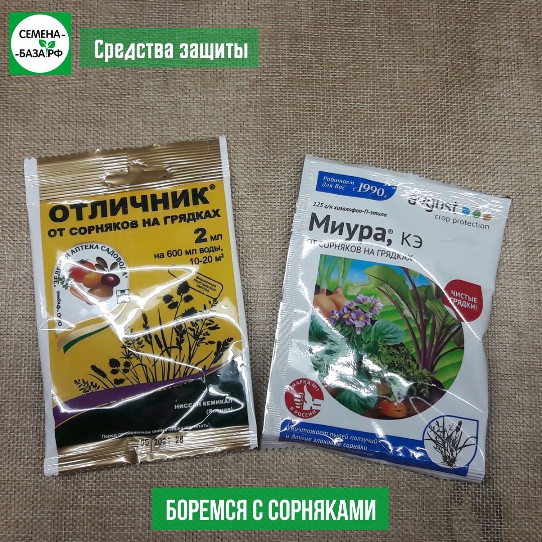 Как избавится от пырея ползучего и других сорняков?