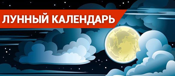Лунный посевной календарь. Декабрь 2019