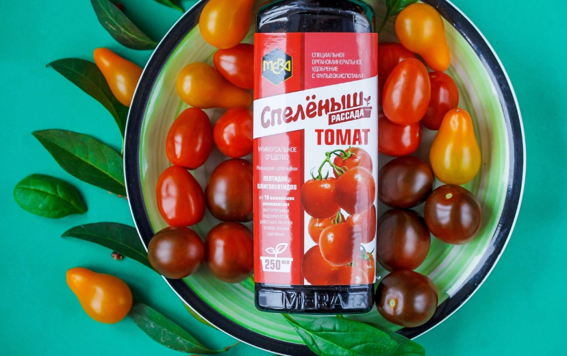 Что надо делать, что бы у рассады томатов развивалась хорошая корневая система? 