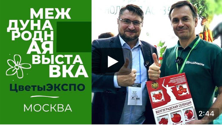 Компания БашИнком. Встречи на выставке ЦветыЭкспо.