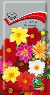 Семена георгины Мигнон Микс