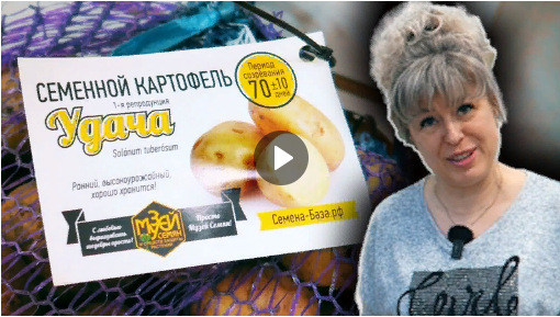 Уже выбрали какие сорта картофеля посадить в этом году?