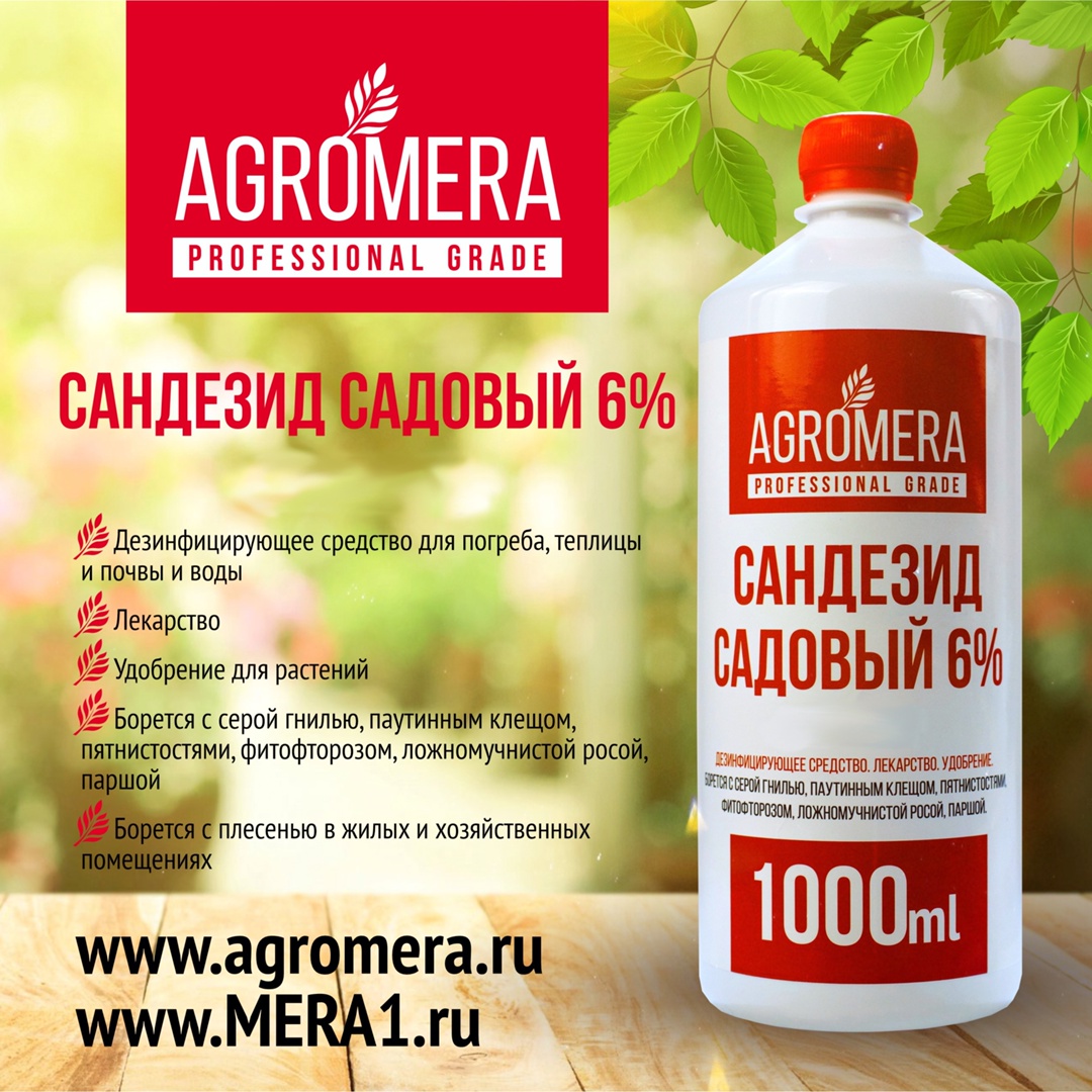 Сандезид садовый всегда должен быть под рукой.