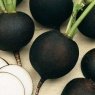 Семена редьки Зимняя круглая черная 1 кг Семена редьки Зимняя круглая черная 1 кг