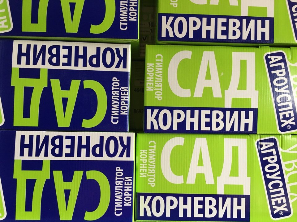 Новое поступление актуальных товаров! Вы ждали - мы привезли!