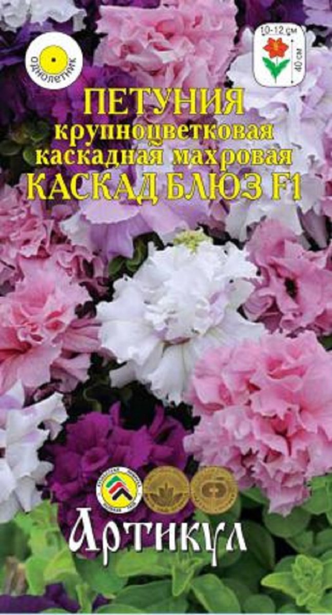 Петунии. Cpoки пocaдки пeтунии нa paccaду