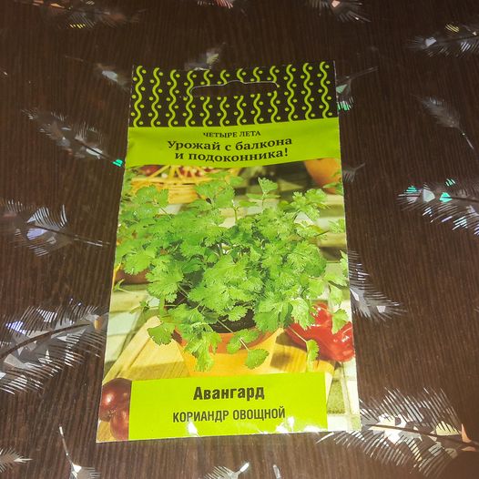 Какую зелень можно выращивать зимой на подоконнике?