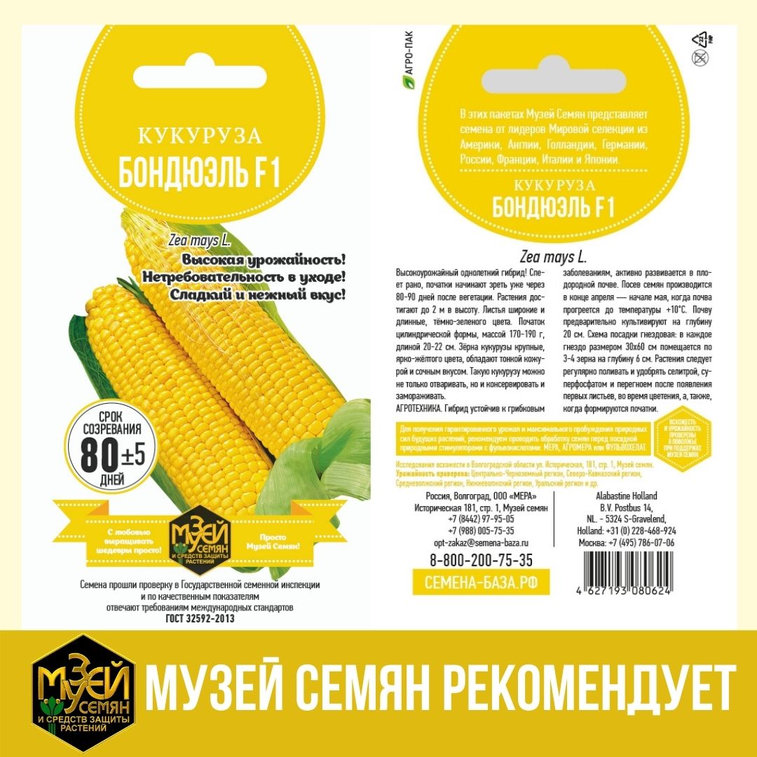 Кукурузу любят все.