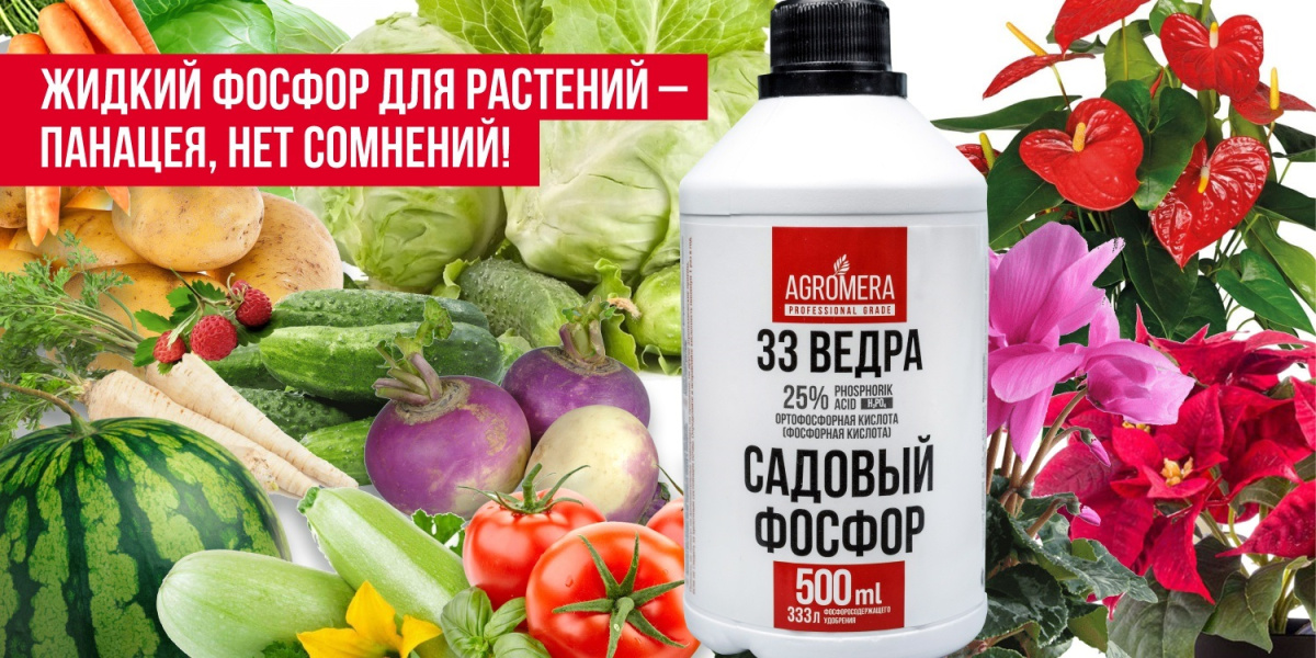 Жидкий фосфор для растений – панацея, нет сомнений!