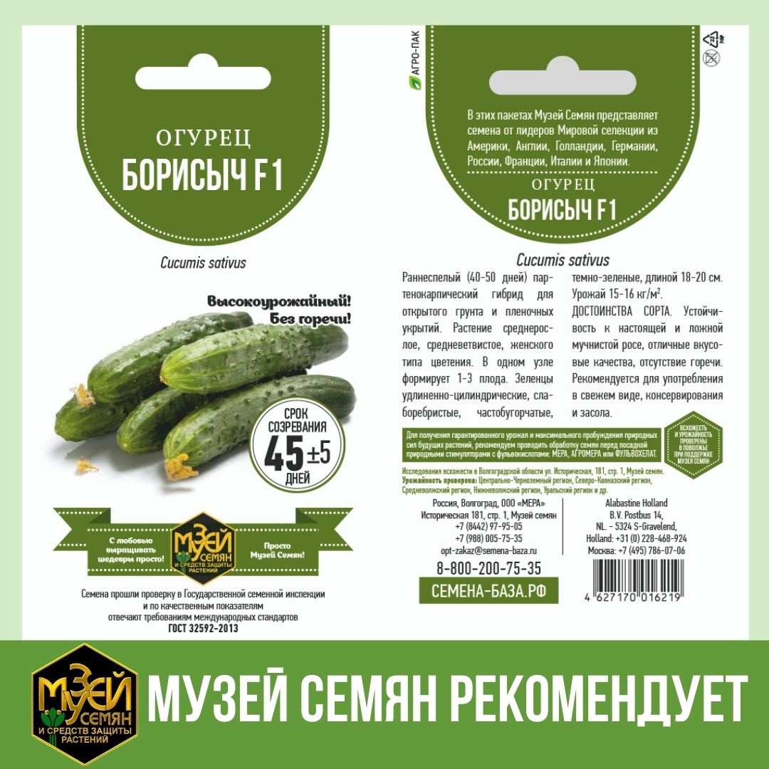 Еще несколько Ваших любимых огурчиков.