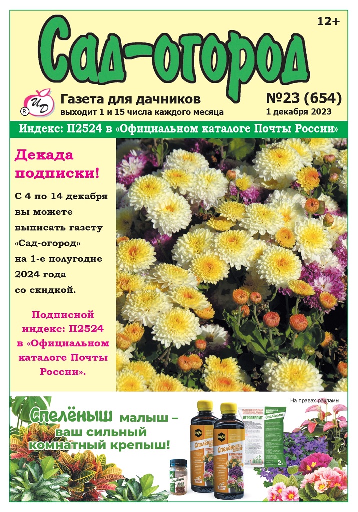 1 (5)_page-0001.jpg