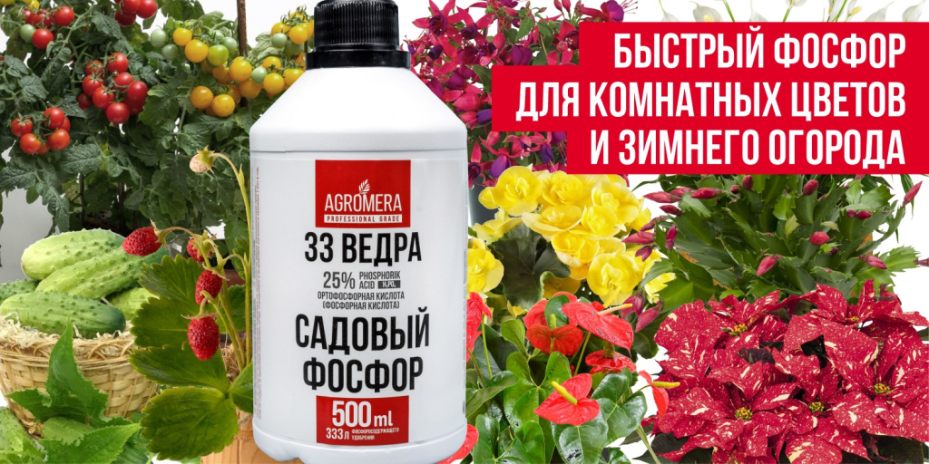 Фосфор2 (1).jpg Фосфор2 (1).jpg