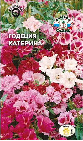 Семена годеции Катерина