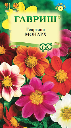 Семена георгины Монарх 
