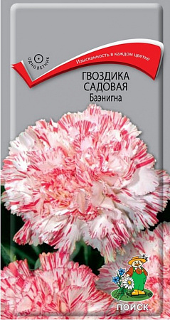 Семена гвоздики Баэнигна