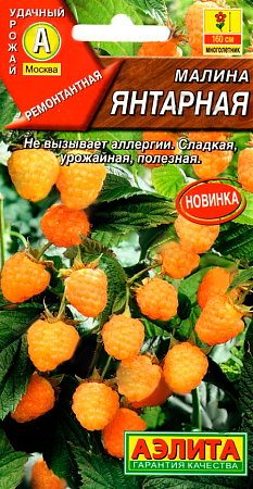 Семена малины Янтарная 