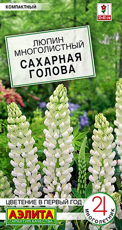 Семена люпина Сахарная голова 7шт
