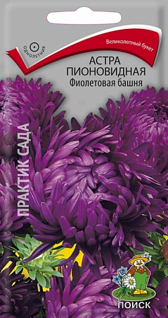 Семена астры Фиолетовая башня