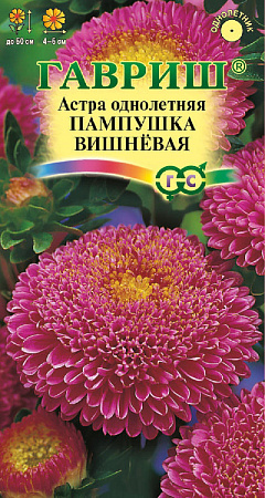 Семена астры Пампушка Вишневая