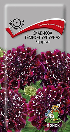 Семена скабиоза темно-пурпурная Бордовая 0,2гр/Поиск