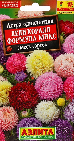 Семена астры Леди Корал смесь