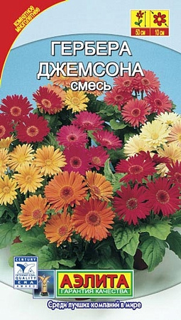Семена гербера Джемсона