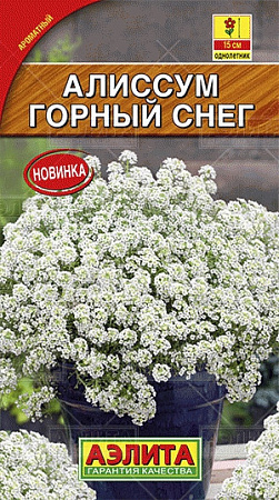 Семена алиссума Горный снег