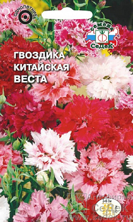 Семена гвоздики Веста китайская