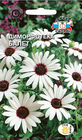 Семена диморфотеки Балет 0,2г