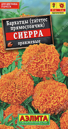 Семена бархатцев Сиерра оранжевые Аэлита
