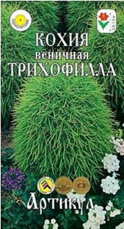 Семена кохии
