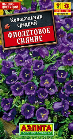 Семена колокольчика Фиолетовое сияние 