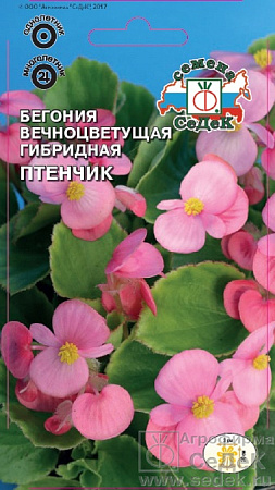 Семена бегонии Птенчик