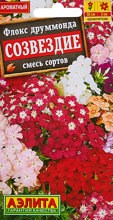 Семена флокса Созвездие смесь