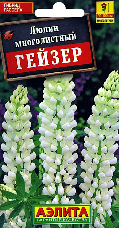 Семена люпина Гейзер