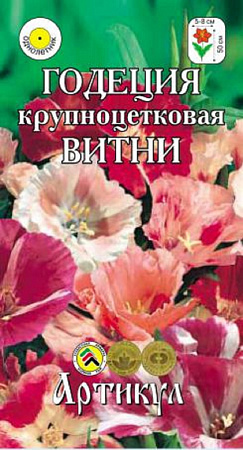 Семена годеции Витни