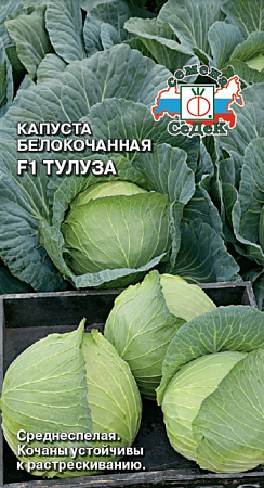 Семена капусты белокочанной Тулуза
