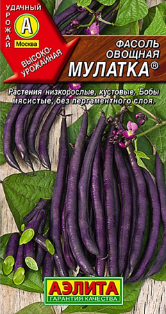 Семена фасоли Мулатка